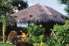 Badian Island Resort 